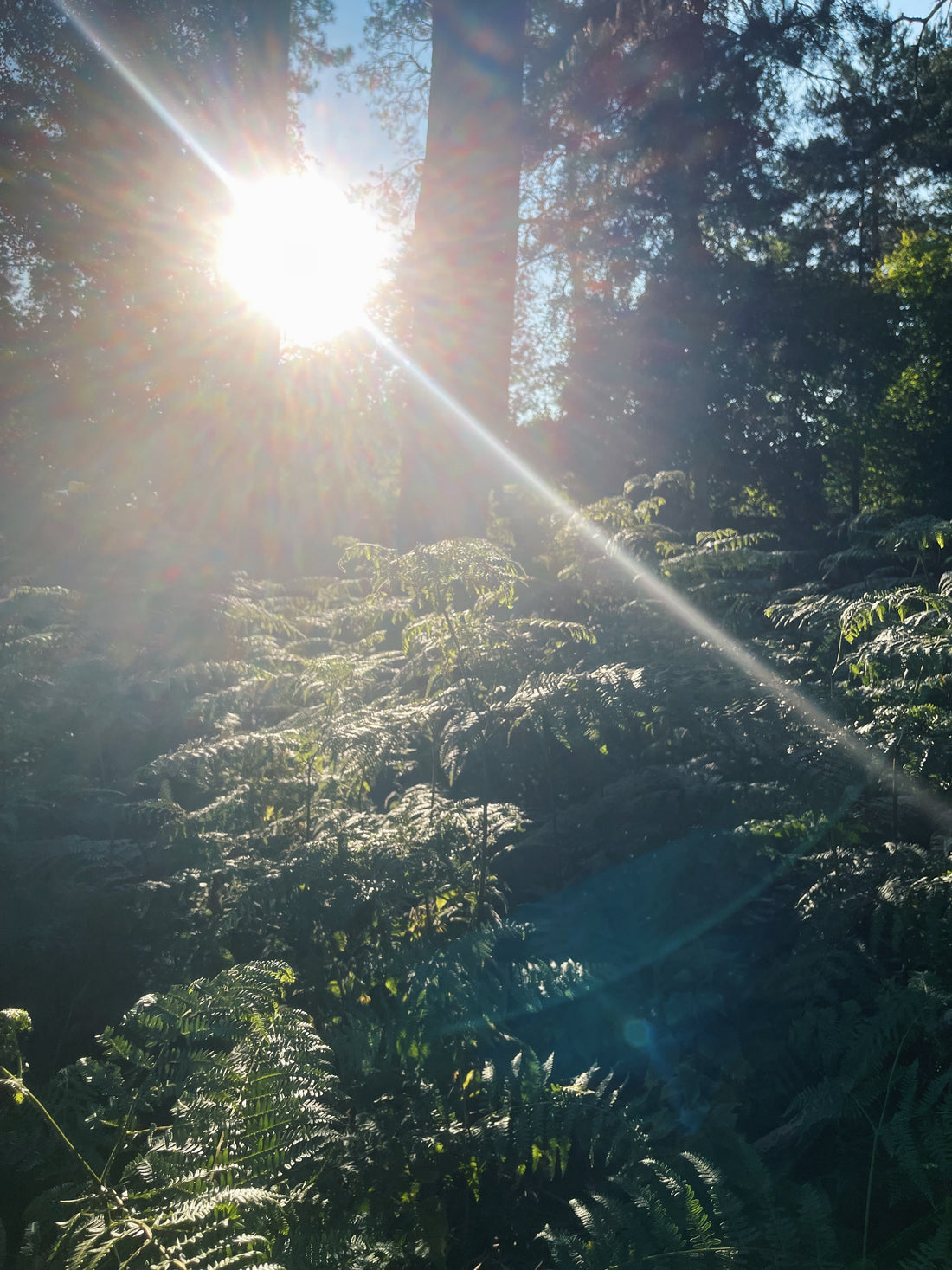 Outdoors morning motivation 