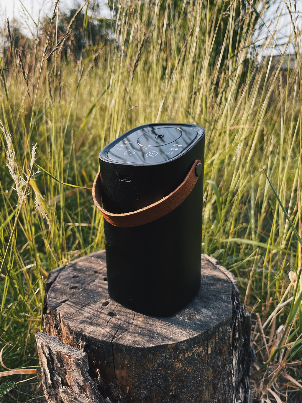 Portable Waterless Essential Oil Diffuser